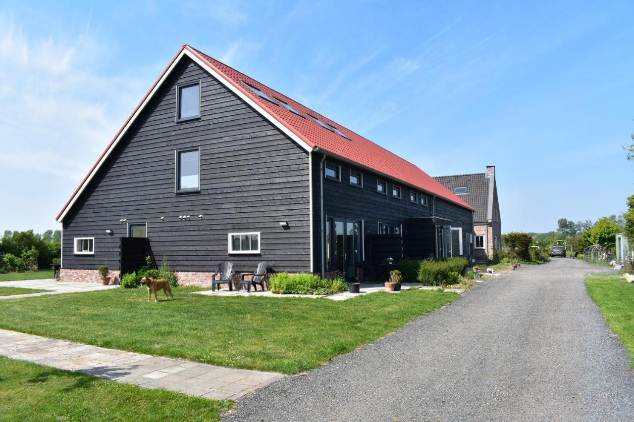 Appartement 5 Vrouwenpolder Exteriör bild